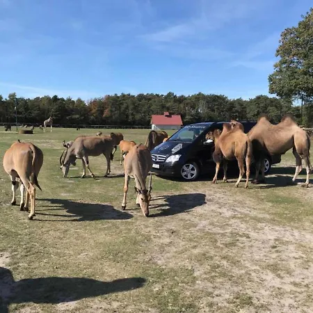 Safariland Stukenbrock Erlebnisresort Lyxtält Schloß Holte-Stukenbrock