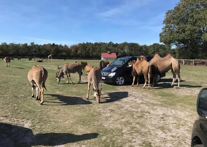 Safariland Stukenbrock Erlebnisresort Luxusní stan Schloß Holte-Stukenbrock