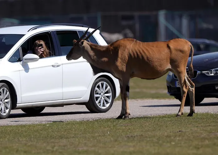 Luxusní stan Safariland Stukenbrock Erlebnisresort *