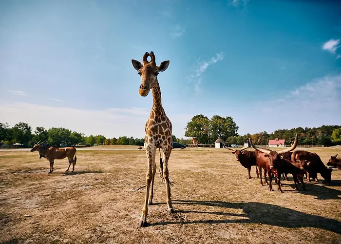 Luxusní stan Safariland Stukenbrock Erlebnisresort