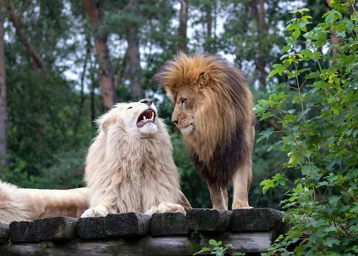 Safariland Stukenbrock Erlebnisresort * Schloß Holte-Stukenbrock